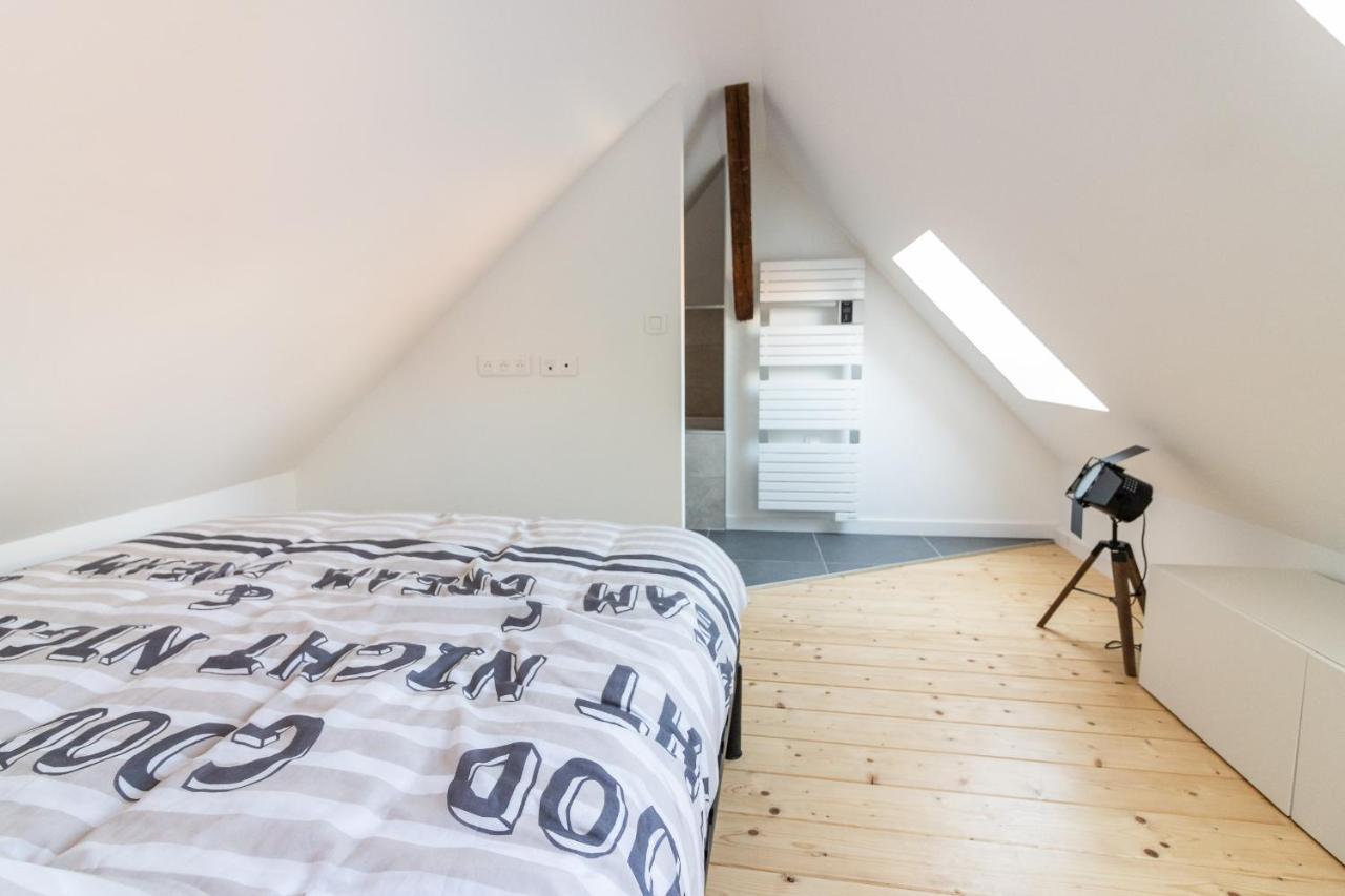 Magnifique Appartement Duplex Climatise De 40M² Nancy Exteriér fotografie